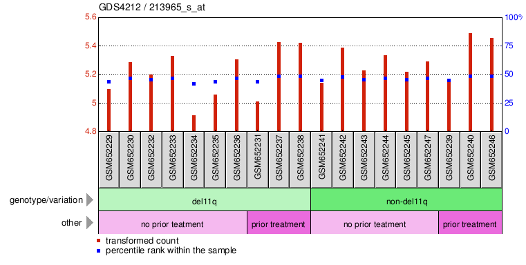 Gene Expression Profile