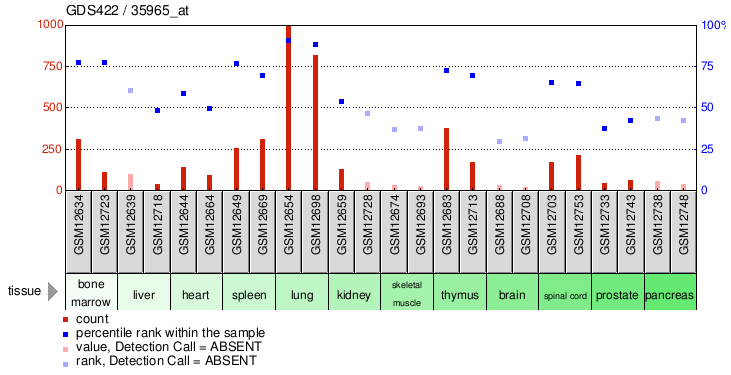 Gene Expression Profile