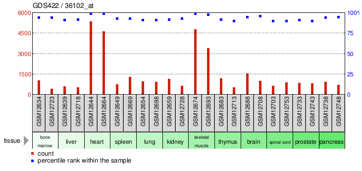 Gene Expression Profile