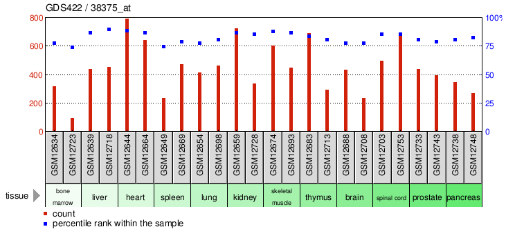 Gene Expression Profile