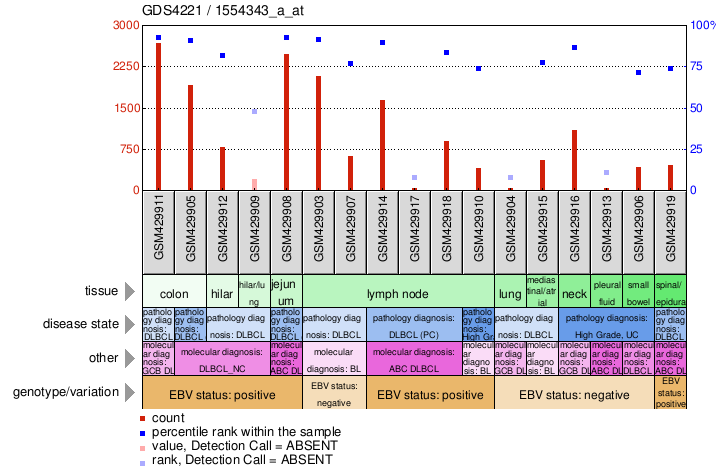 Gene Expression Profile