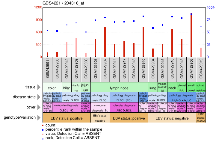 Gene Expression Profile