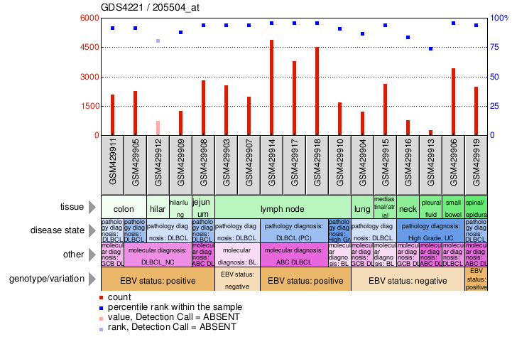 Gene Expression Profile