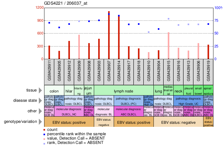 Gene Expression Profile