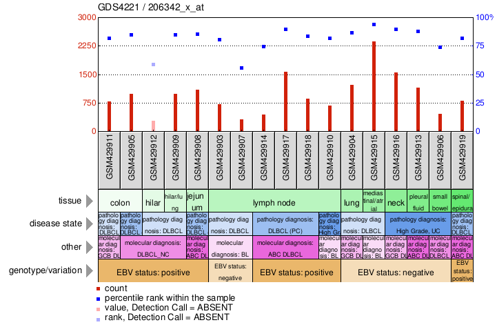 Gene Expression Profile