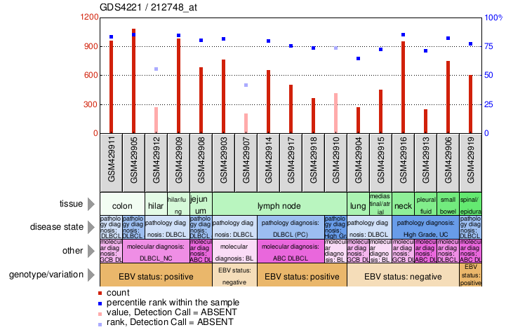 Gene Expression Profile