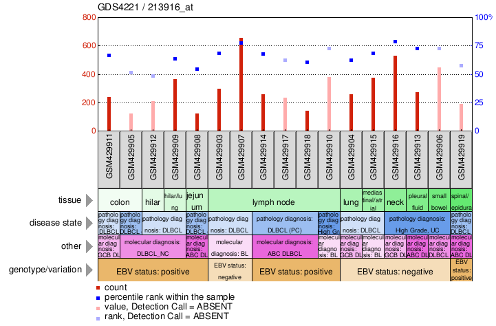 Gene Expression Profile