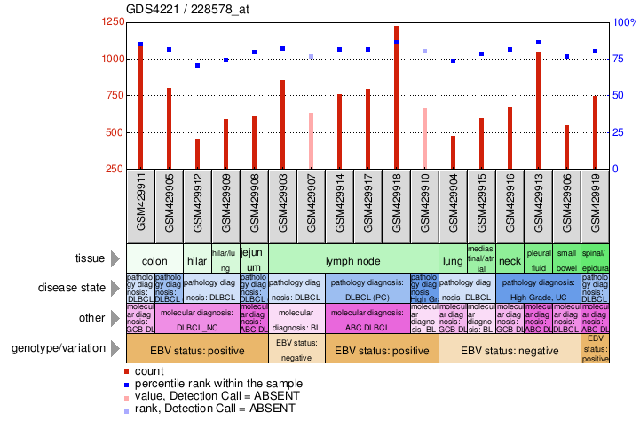 Gene Expression Profile