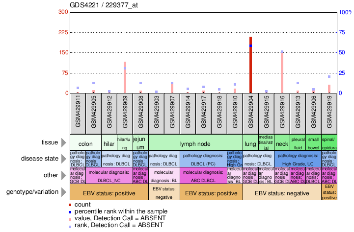 Gene Expression Profile