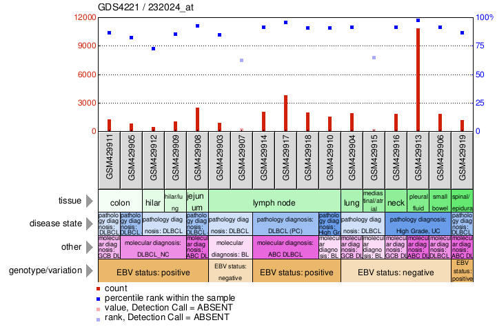 Gene Expression Profile