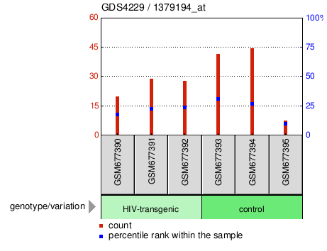 Gene Expression Profile