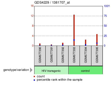 Gene Expression Profile