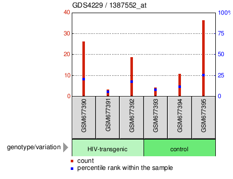 Gene Expression Profile