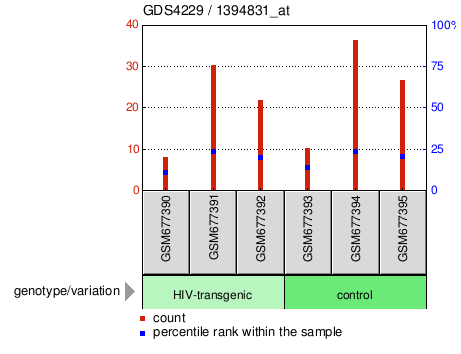 Gene Expression Profile