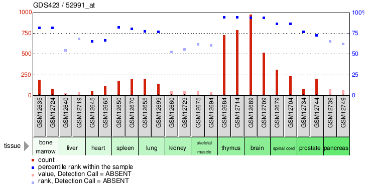 Gene Expression Profile