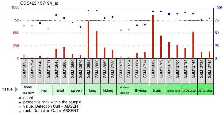 Gene Expression Profile