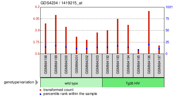 Gene Expression Profile