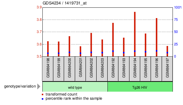 Gene Expression Profile