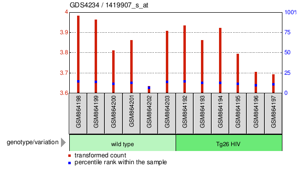 Gene Expression Profile