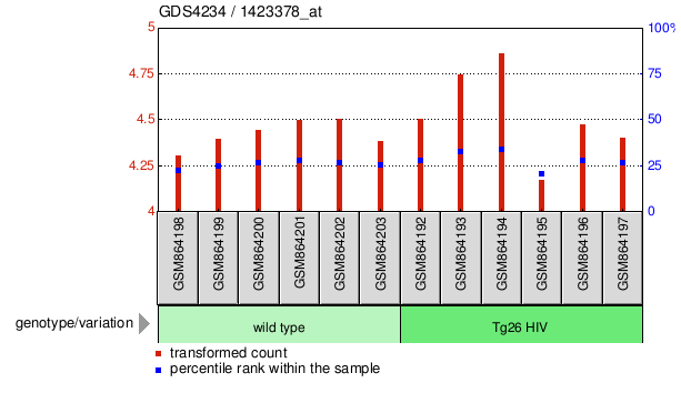 Gene Expression Profile