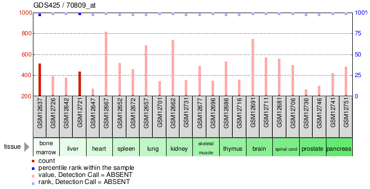 Gene Expression Profile