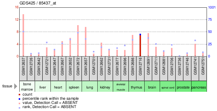 Gene Expression Profile