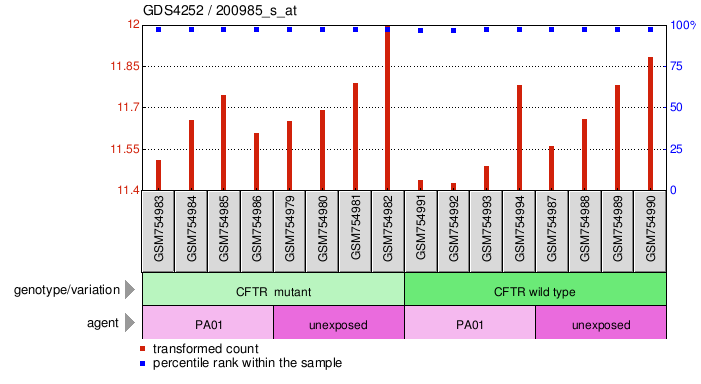 Gene Expression Profile