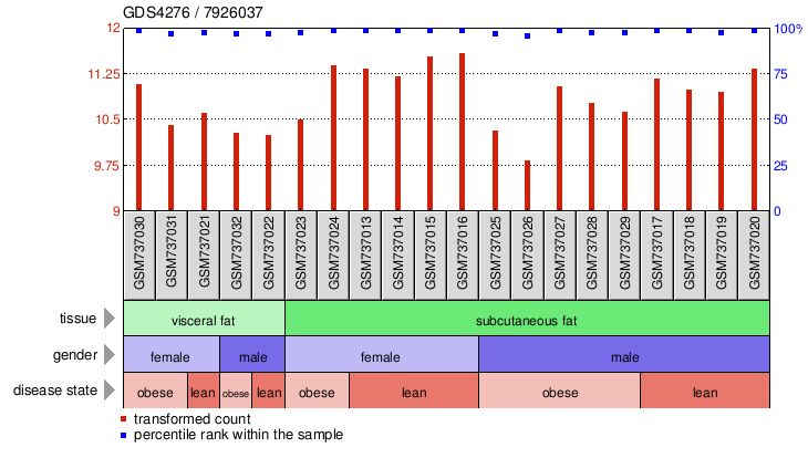 Gene Expression Profile