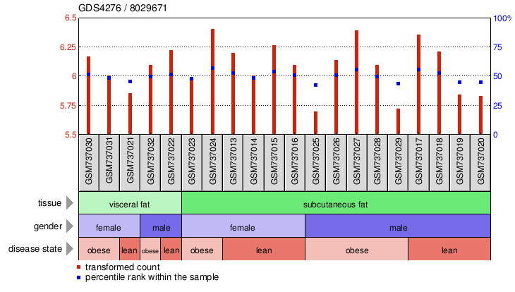 Gene Expression Profile