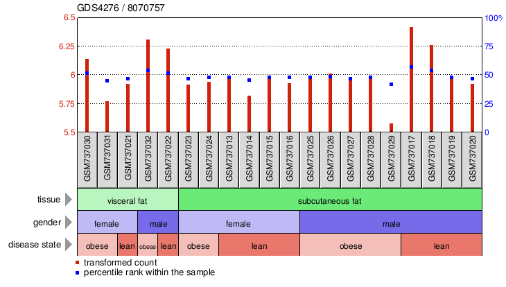 Gene Expression Profile