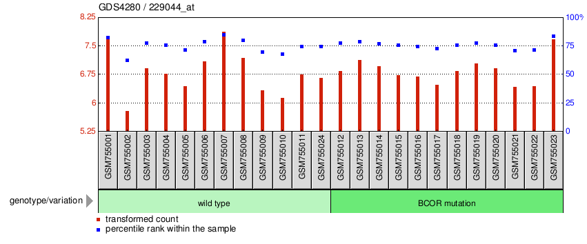 Gene Expression Profile