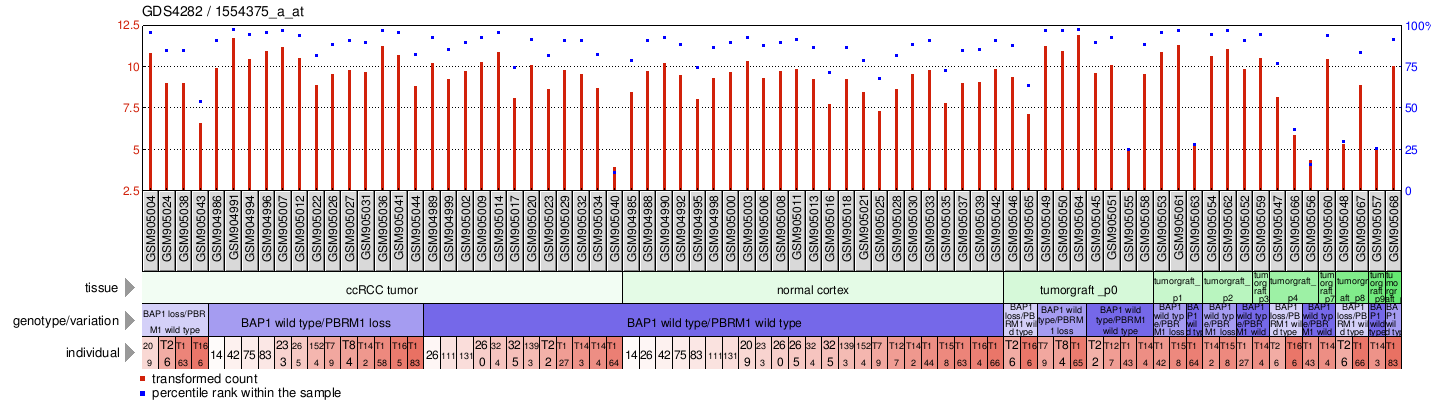 Gene Expression Profile