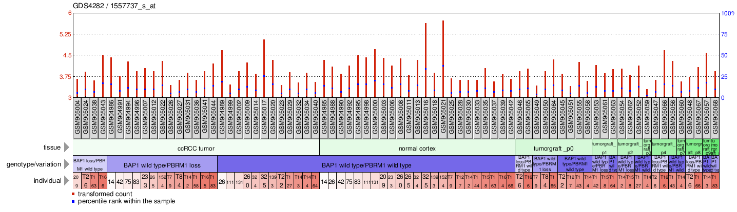 Gene Expression Profile