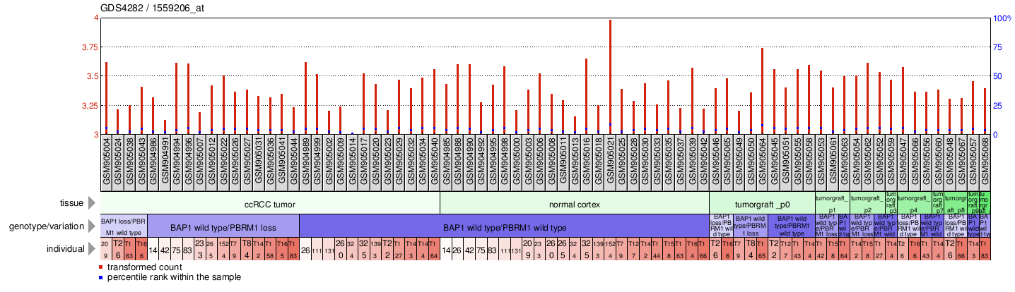 Gene Expression Profile