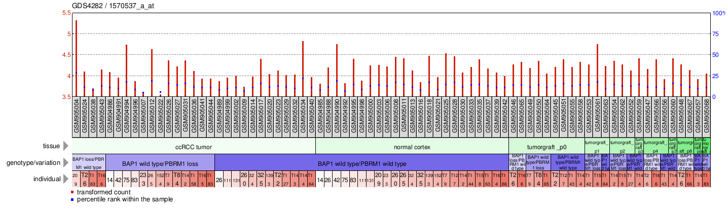 Gene Expression Profile