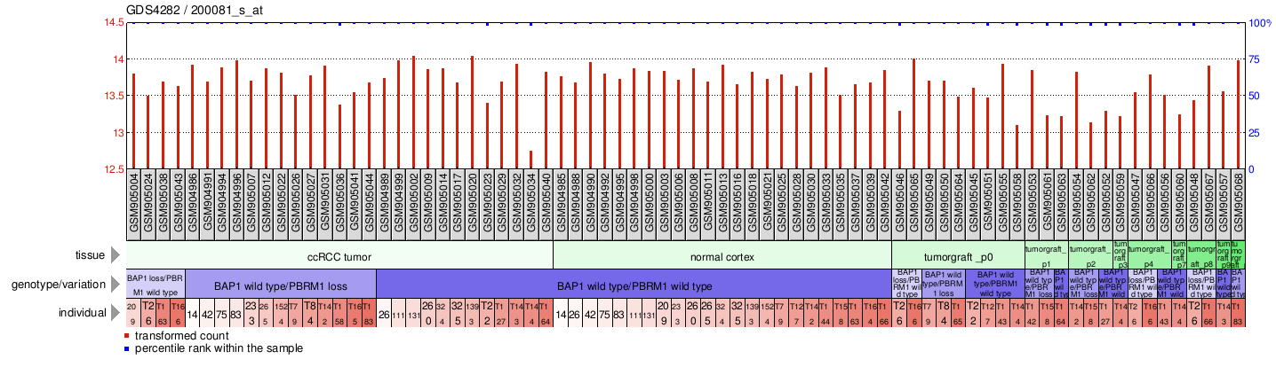 Gene Expression Profile