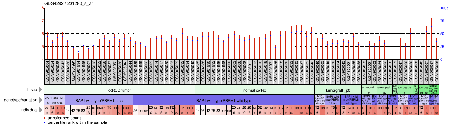 Gene Expression Profile