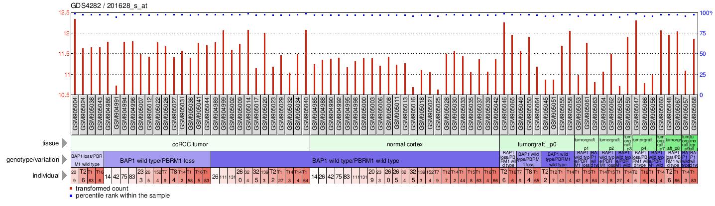 Gene Expression Profile