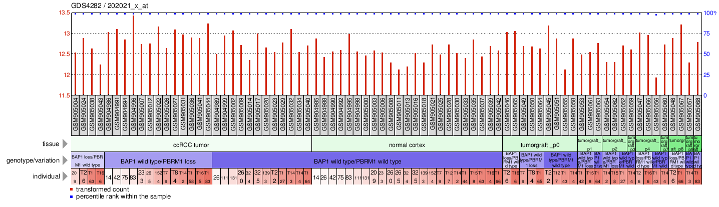 Gene Expression Profile