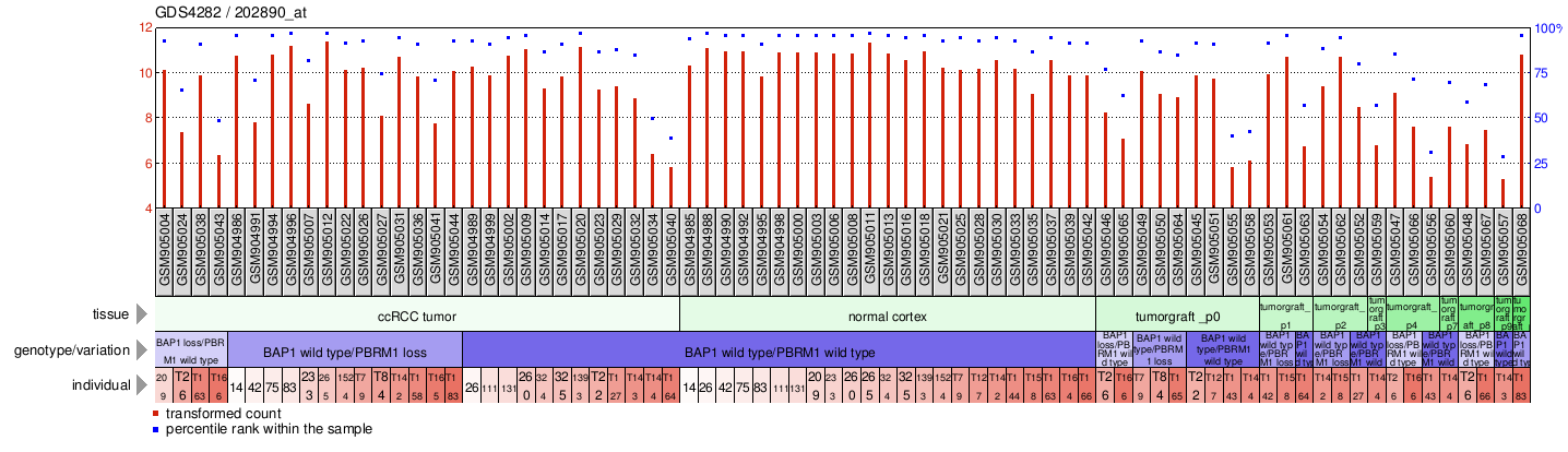 Gene Expression Profile