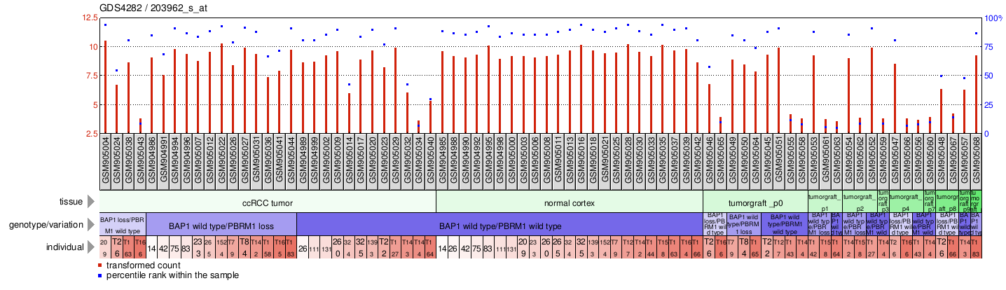 Gene Expression Profile