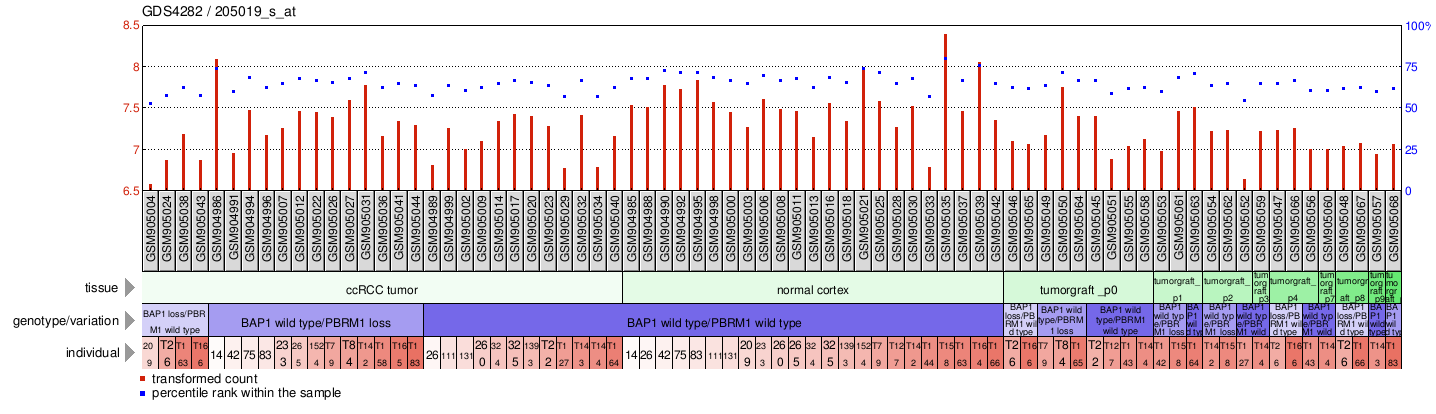 Gene Expression Profile