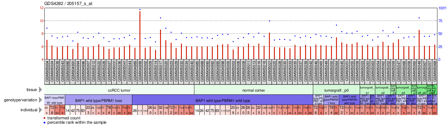 Gene Expression Profile