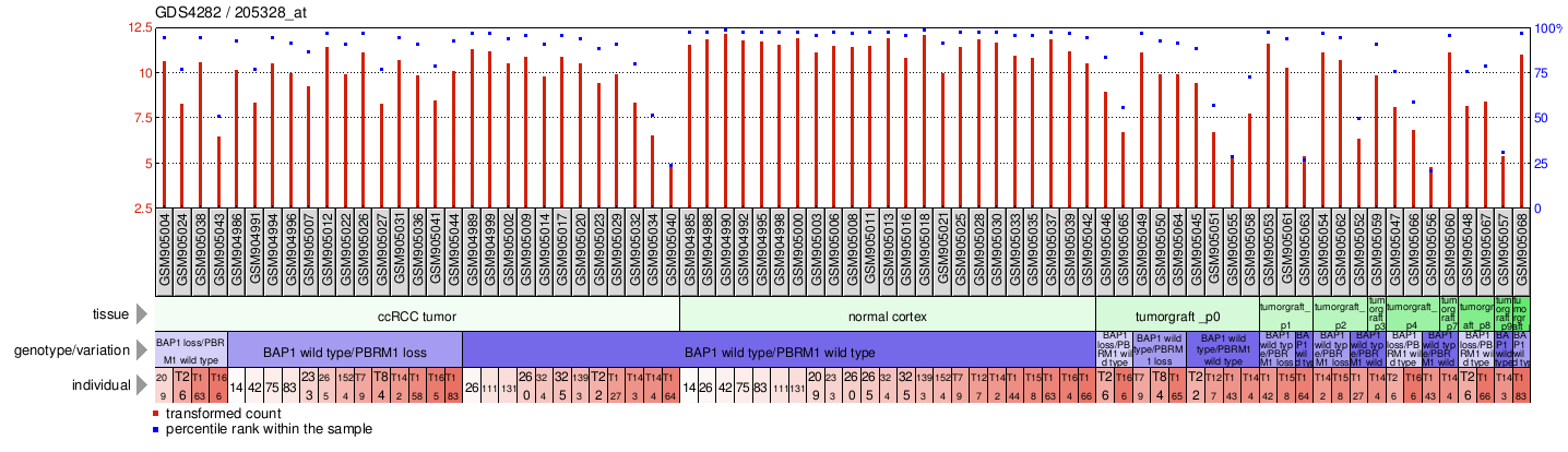 Gene Expression Profile