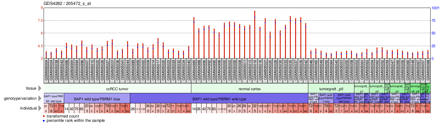 Gene Expression Profile