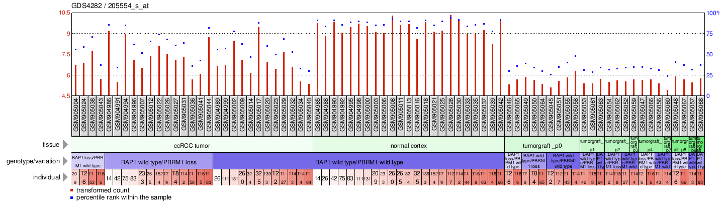 Gene Expression Profile