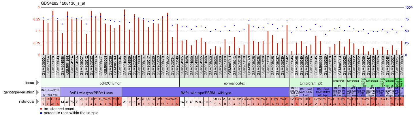 Gene Expression Profile