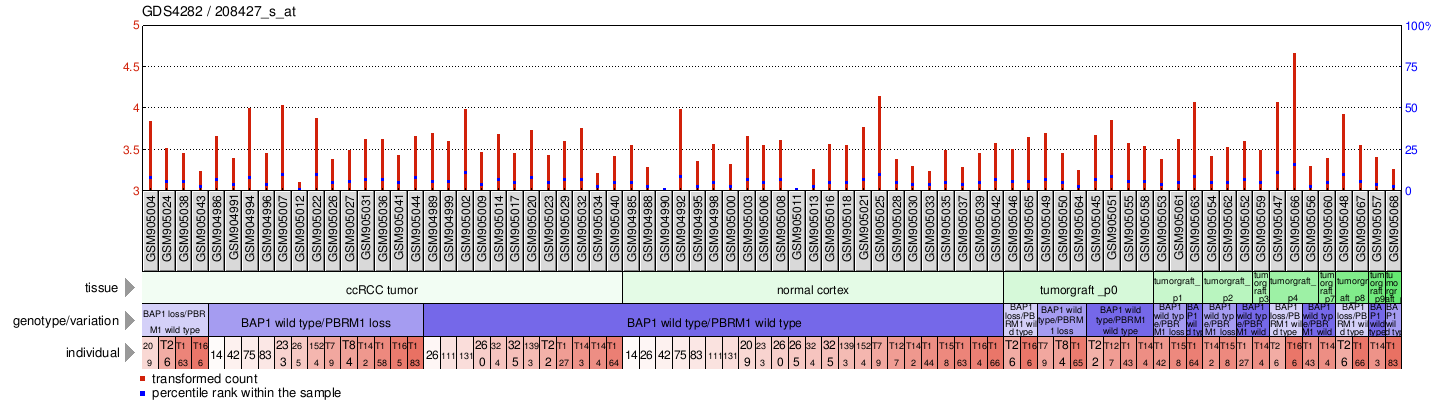 Gene Expression Profile