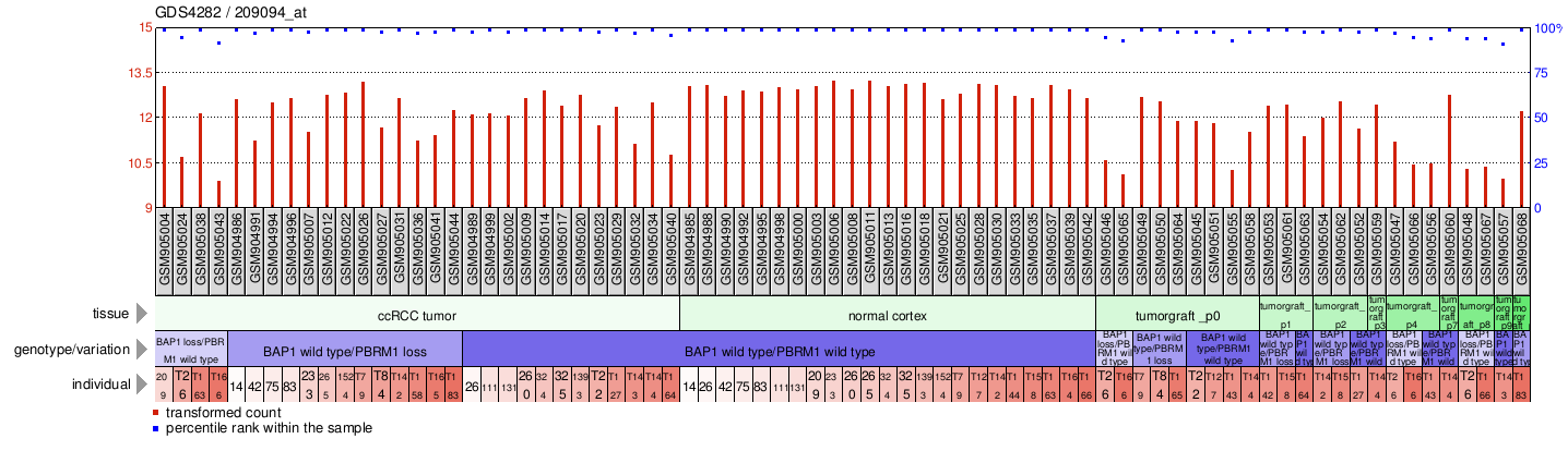 Gene Expression Profile