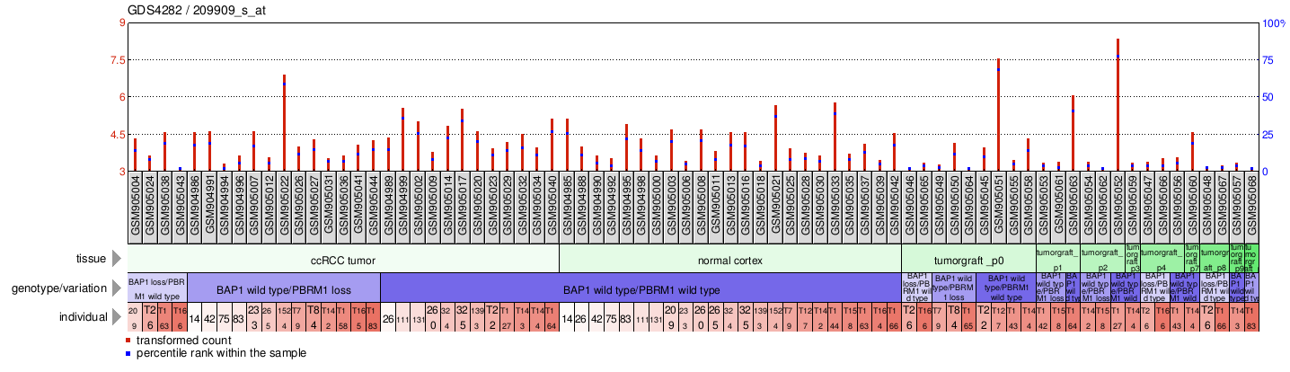 Gene Expression Profile